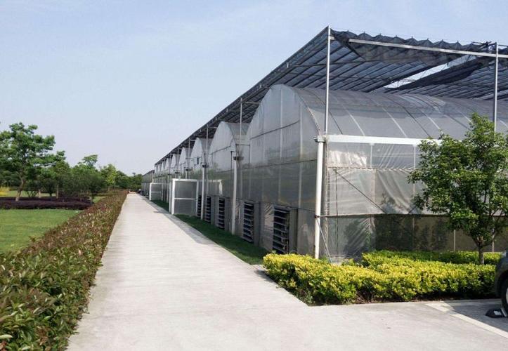 花卉連棟溫室大棚多少錢？蝴蝶蘭大棚建造與批發指南