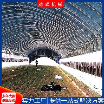 專業做蔬菜大棚圖片