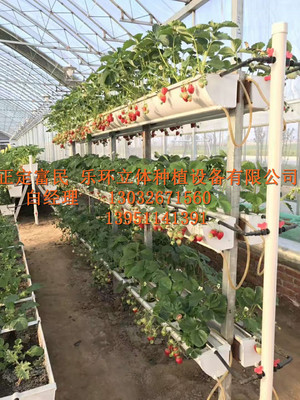 【18新品立體草莓種植槽 育苗槽】價格,廠家,大棚設施