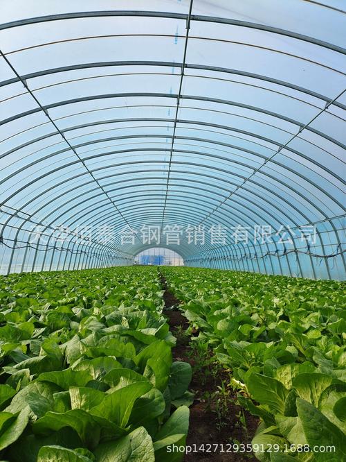 專業生產溫室工程材料 鍍帶方管、橢圓大棚管、鍍鋅橢圓管與鍍鋅帶圓管詳解