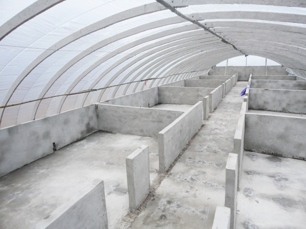 生態養豬大棚建設指南 打造循環農業大企業的關鍵一步