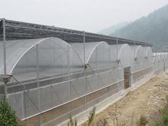 甘肅大棚陽光板供應商哪家強？蘭州全達塑膠以專業品質領跑市場
